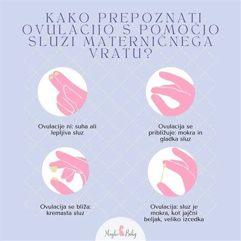 Infografika: Kako deluje maternični vrat pri nosečnosti