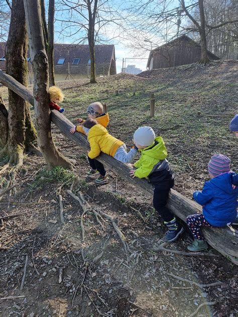 otroci v gozdu raziskujejo naravo izobraževalna delavnica