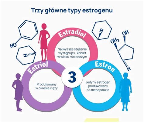 infografika: hormonprogesteron-estrogen-nosečnost