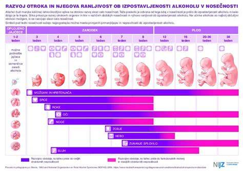 odločitev za diagnostično metodo med nosečnostjo - infografika