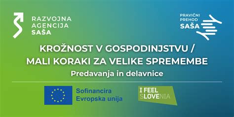Družinska raba več jezikov - shema komunikacije v gospodinjstvu