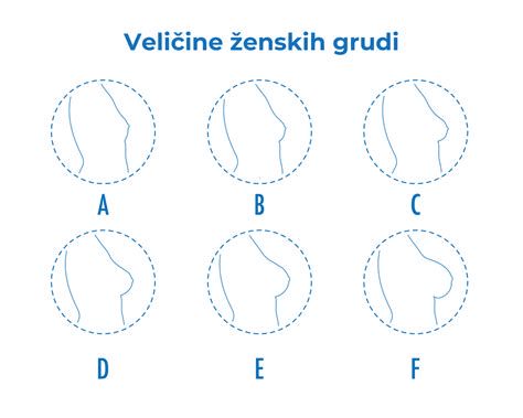 infografika anatomije dojke z označenimi žilami