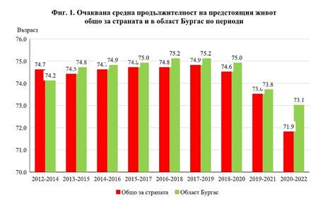 инфографика: схематично разпределение на видовете отпуск и продължителност (410 дни, 135 дни, 2 години)
