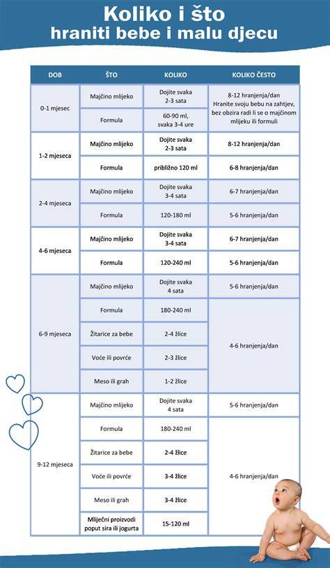 Infografika: pregled opreme po kategorijah (oblačila, hranjenje, nega, sprehodi)