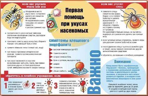 профилактика укусов комаров: средства защиты во время путешествия