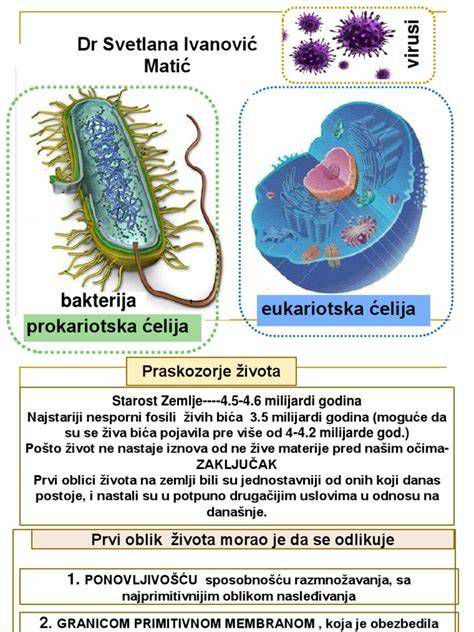 bakterije in glive, povzročitelji balanitis