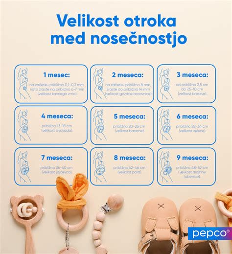 Trimesečja nosečnosti - prilagoditve vadbe