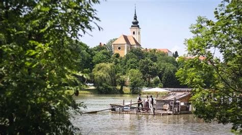 Splav iz hlodov na reki