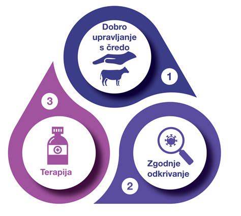 Infografika: primerjalni pristop - uradna medicina vs. komplementarni pristopi