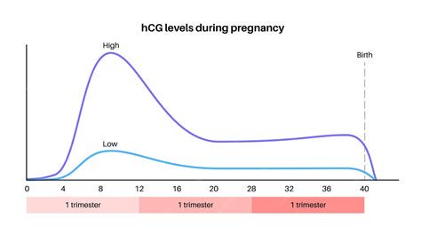 Diagram naraščanja krvnih ravni hormona hCG v zgodnji nosečnosti
