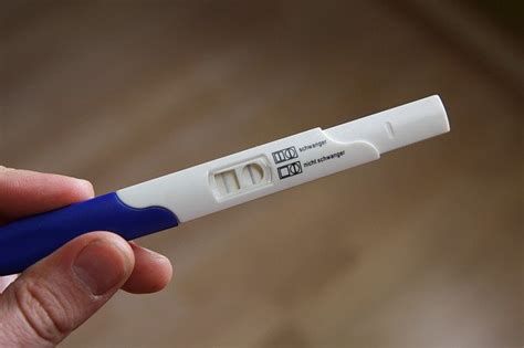 infografika: prvi znaki nosečnosti in kdaj opraviti test