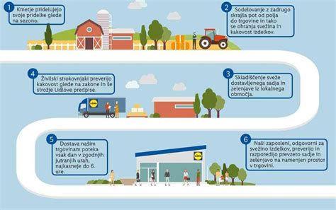 Infografika o vrstnem redu uvajanja goste hrane in časovnih okvirih