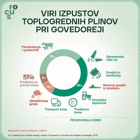 Grafikon vpliva vadbe na nosečnost: tveganja in koristi