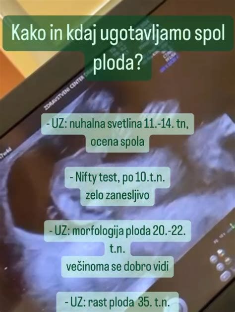 morfologija ploda 20-22 teden