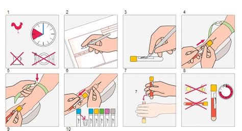diagram poteka: posvet, odvzem krvi, analiza, rezultat