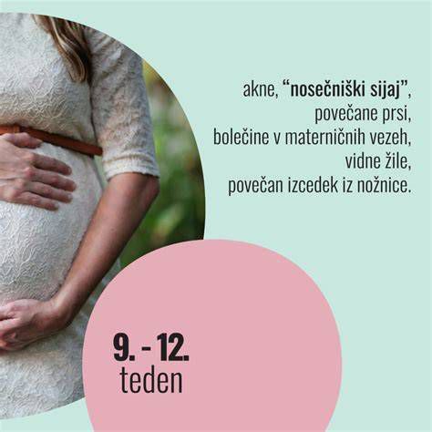 infografika: mehanizmi pogosto uriniranje v nosečnosti (hCG, povečana cirkulacija, pritisk maternice)