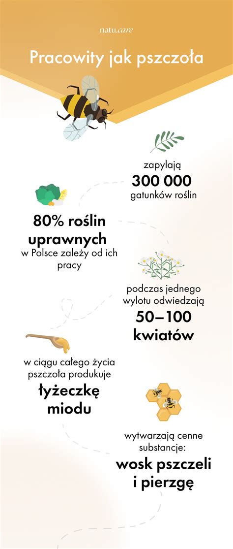 infografika-prva-pomoc-krvavitev
