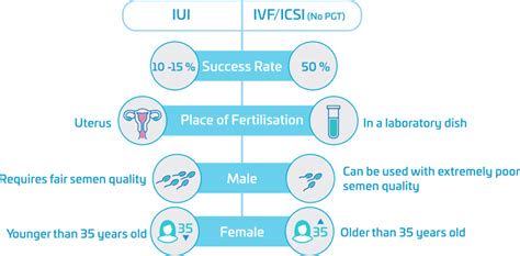 Infografika: Potek umetne oploditve v Sloveniji (OBMP, IUI, IVF, ICSI)