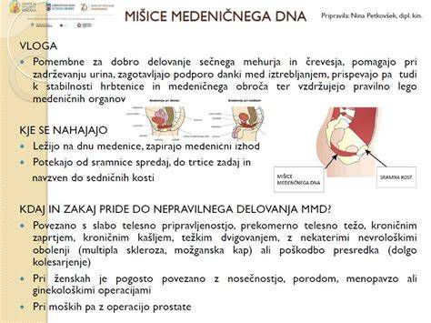 Infografika: anatomija medeničnega dna in pravilna tehnika keglovih vaj