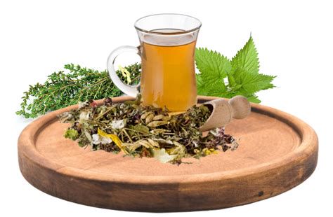 Zeliščni čaji varni med nosečnostjo: malina, kopriva, regrat