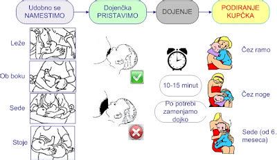 Pravilna namestitev dojenčka pri dojenju - shema položaja