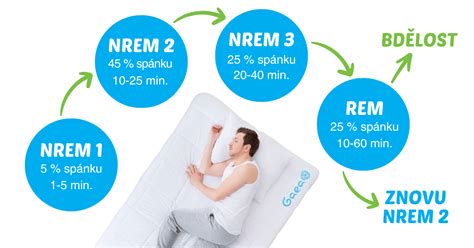 infografika-porodne-faze
