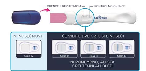 Infografika: kako deluje test nosečnosti in hCG