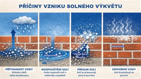 infografika_inkuzija_v_soli