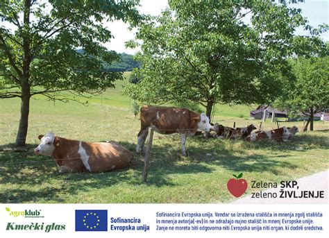 predelava kavbojk in domača tunika iz džersija