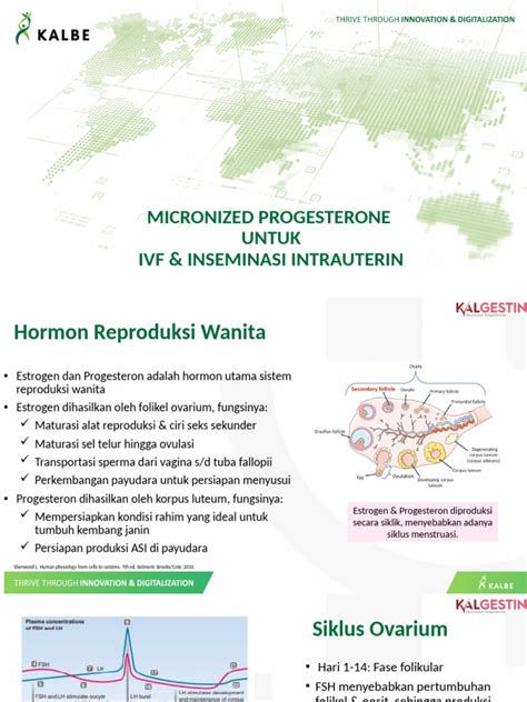 infografika: mehanizem zaprtja v nosečnosti (progesteron, prebavna motnja, dejavniki IVF)