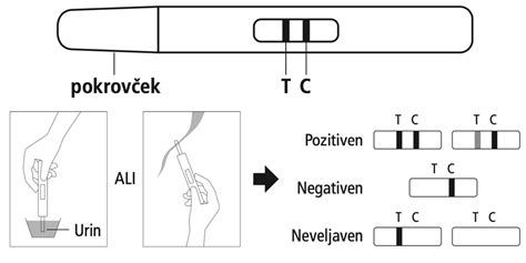 test nosečnosti in navodila