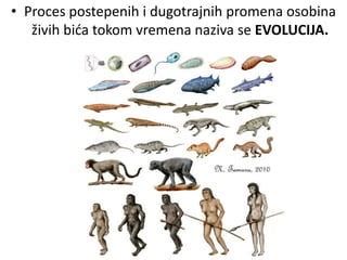 Infografika: evolucija naziva bolnice i glavni profili usluga